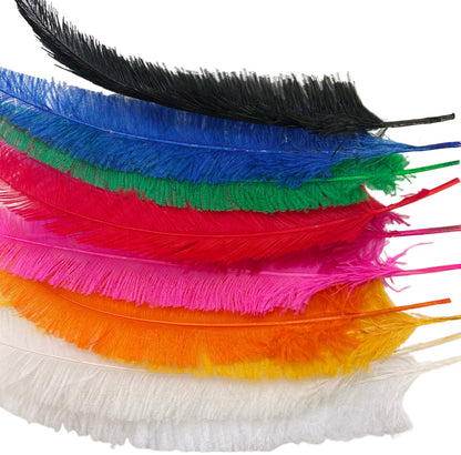Long Clipped Ostrich Feather Plume 55-60cm