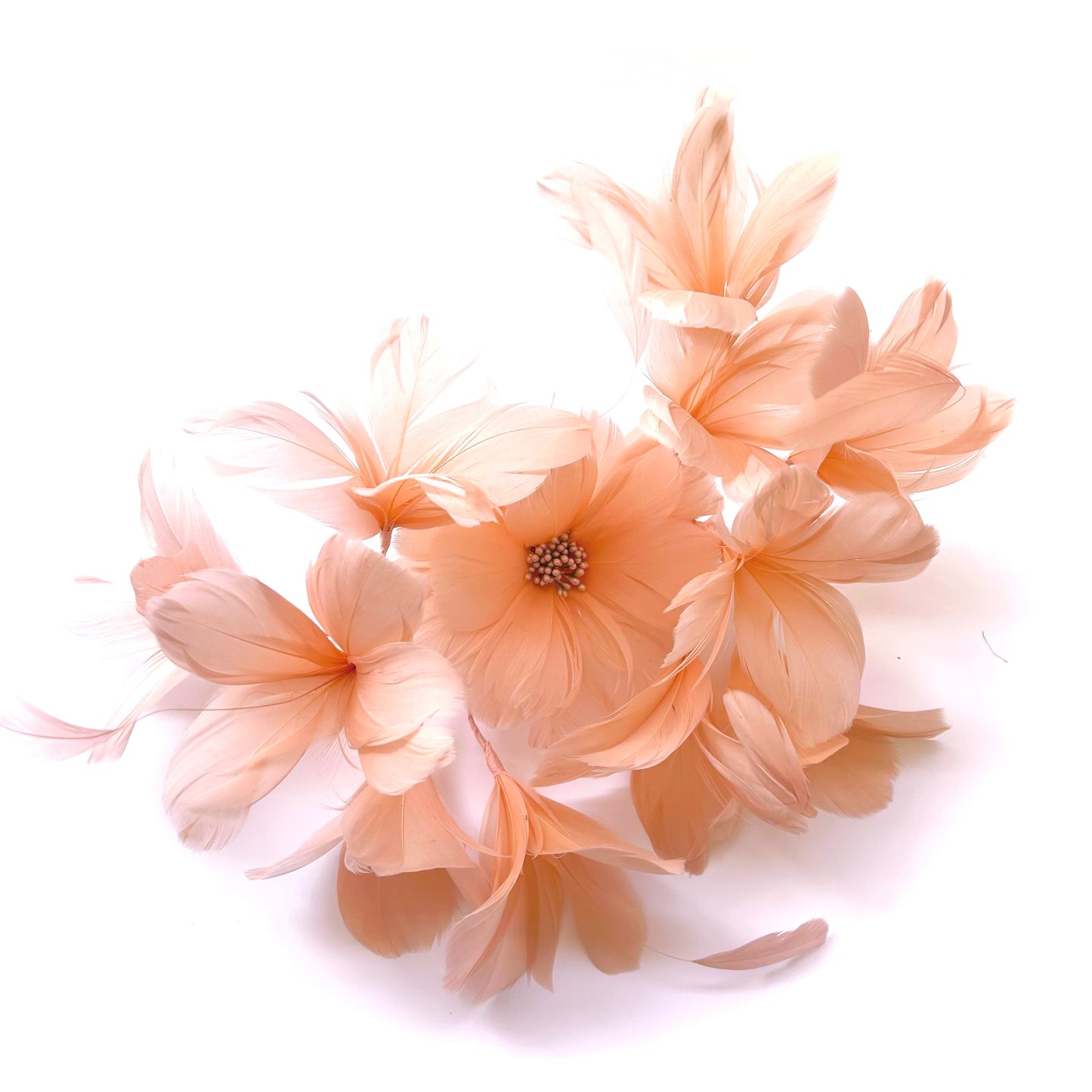 Surrounded Feather Flowers Set DS250606