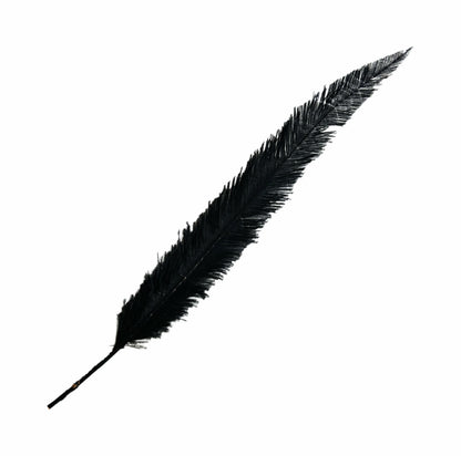 Long Clipped Ostrich Feather Plume 55-60cm