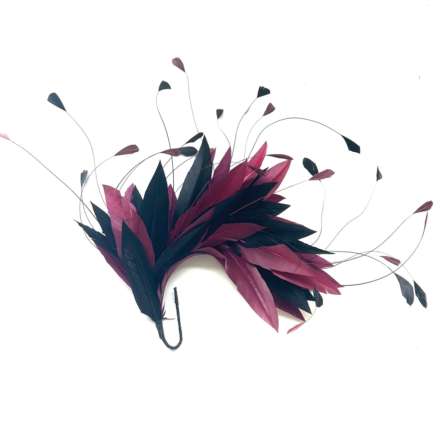 Goose and Coque Feather Mount FM304