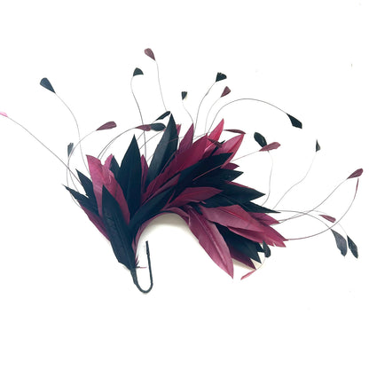 Goose and Coque Feather Mount FM304