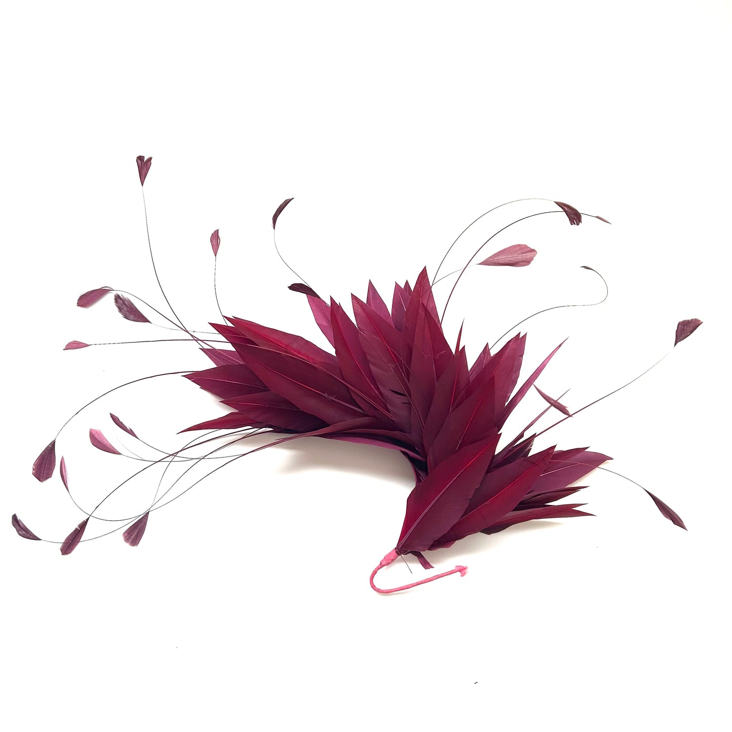 Goose and Coque Feather Mount FM304