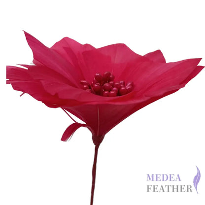 9cm Feather Daisies - Pack of 2 DS250906