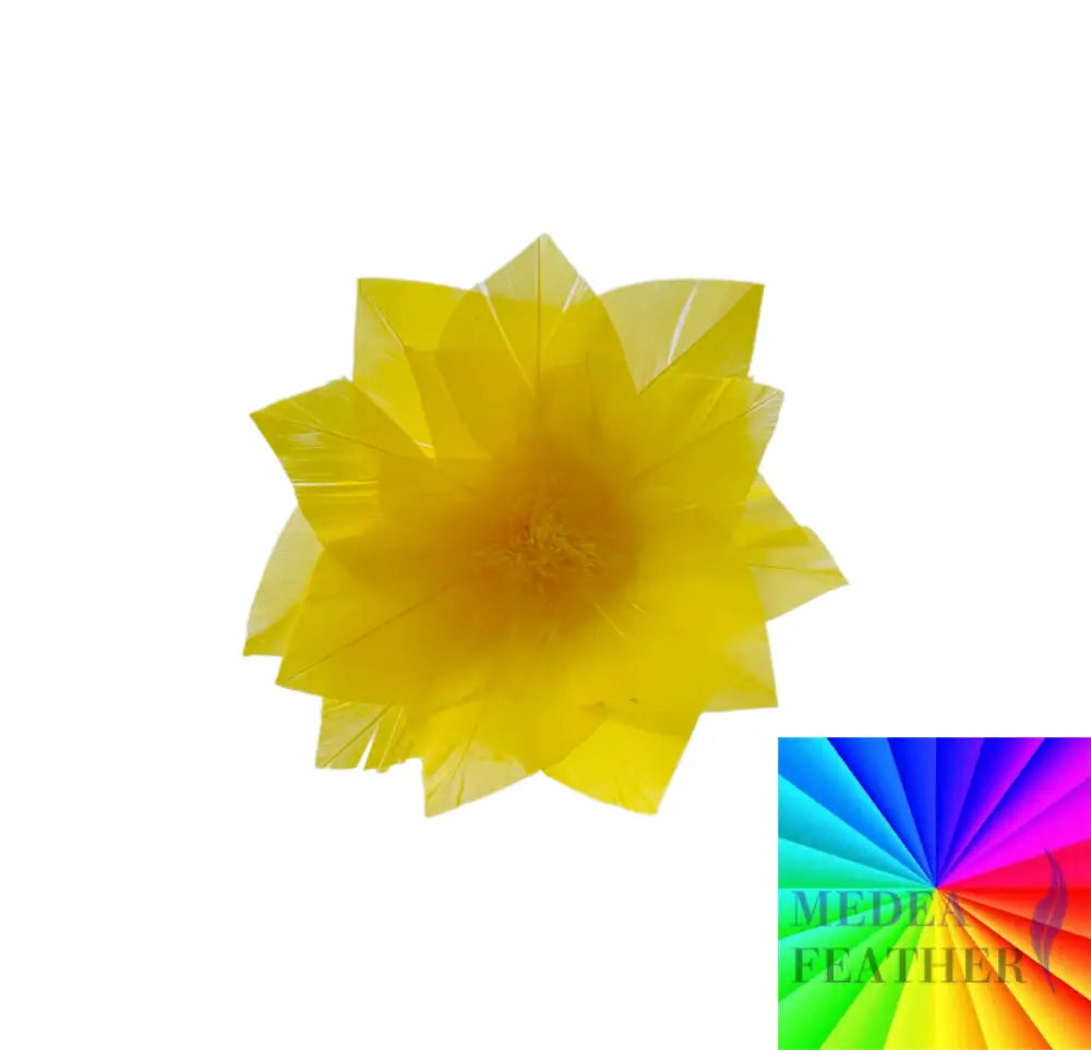 9cm Feather Daisies Pack of 5 Custom Please add text below