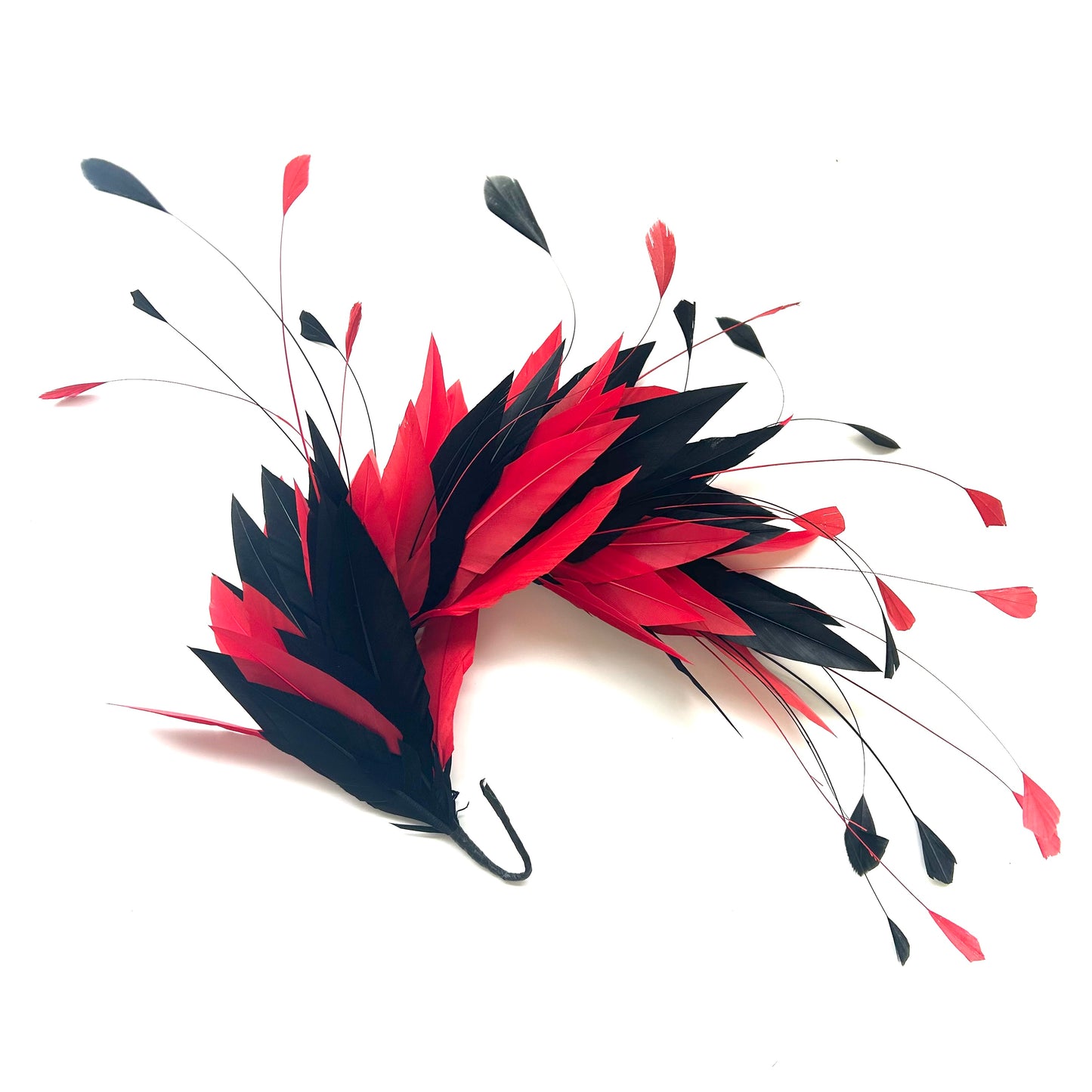Goose and Coque Feather Mount FM304
