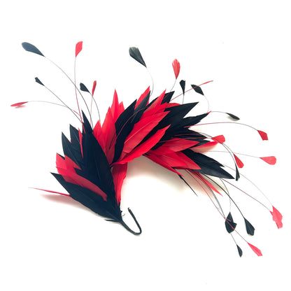 Goose and Coque Feather Mount FM304