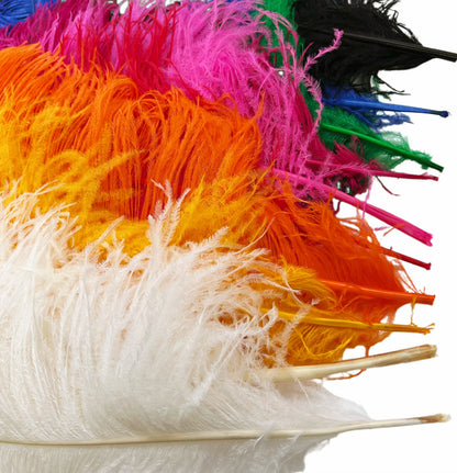 Ostrich Feather Plume 55-60cm
