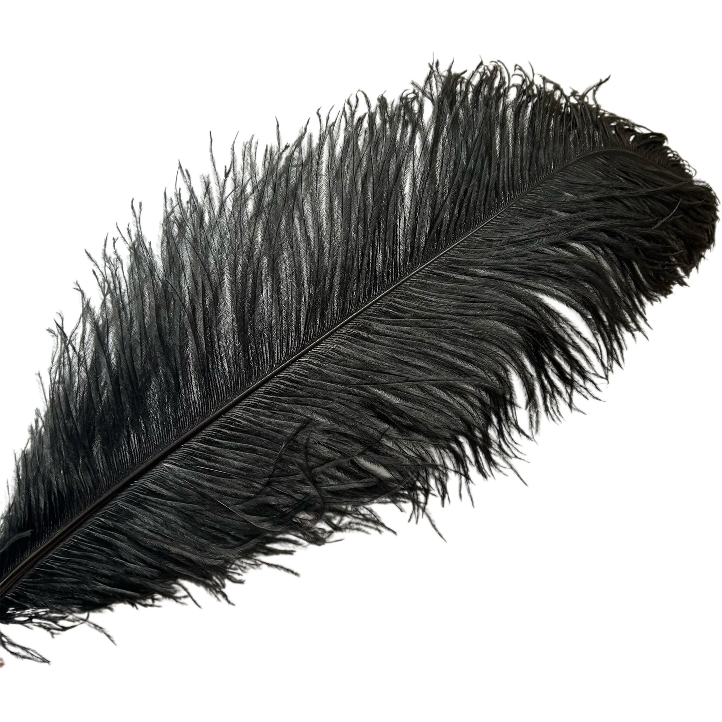 Ostrich Feather Plume 55-60cm