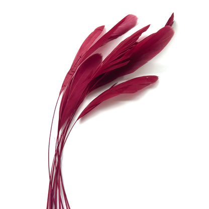 25cm Stripped Coque Feathers - Pack of 10 SFROOSTER01