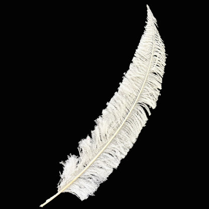 Long Clipped Ostrich Feather Plume 55-60cm