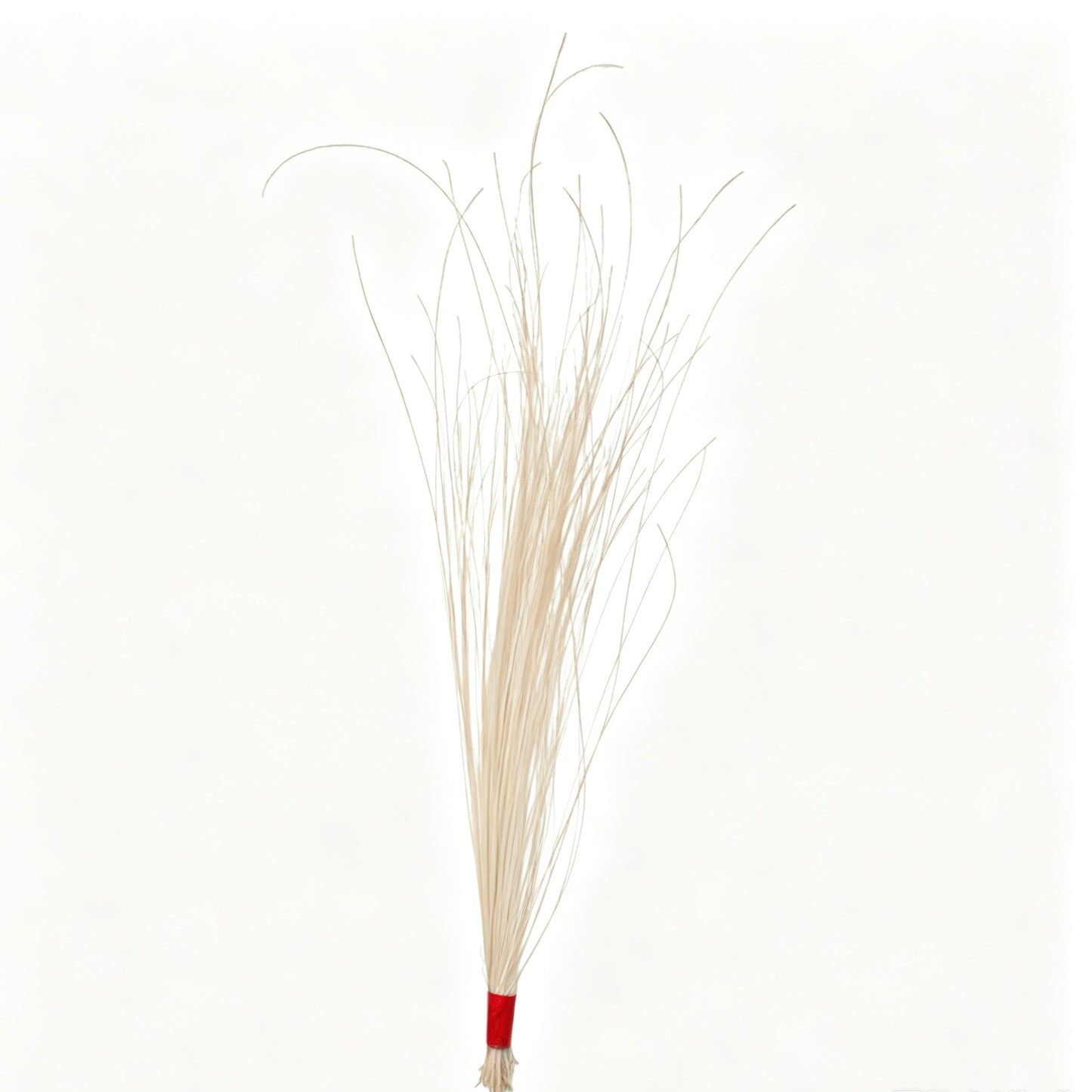 Burnt Peacock Hair Bundle