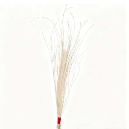 Burnt Peacock Hair Bundle