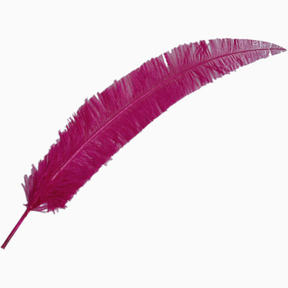 Long Clipped Ostrich Feather Plume 55-60cm