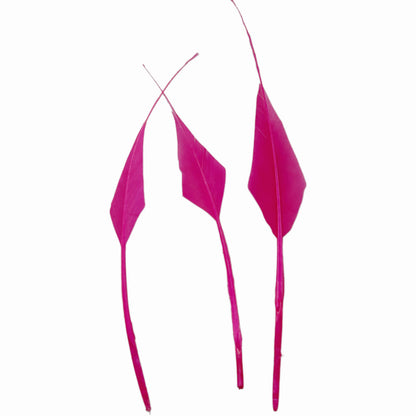 Spiky Hard Goose Feather-Pack of 20