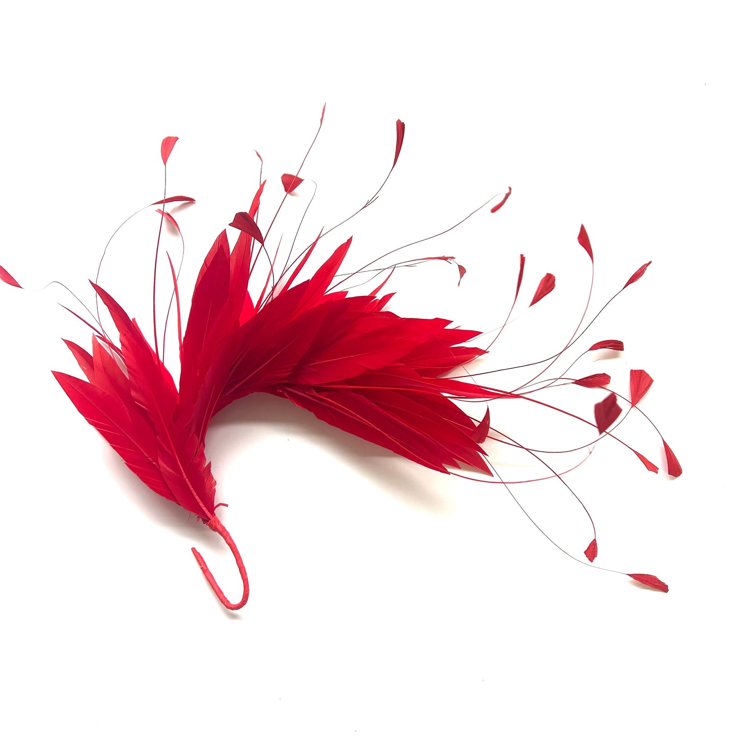 Goose and Coque Feather Mount FM304