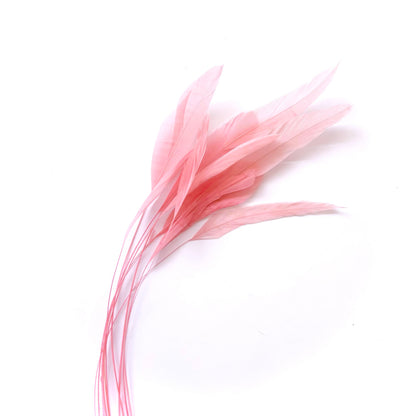 25cm Stripped Coque Feathers - Pack of 10 SFROOSTER01