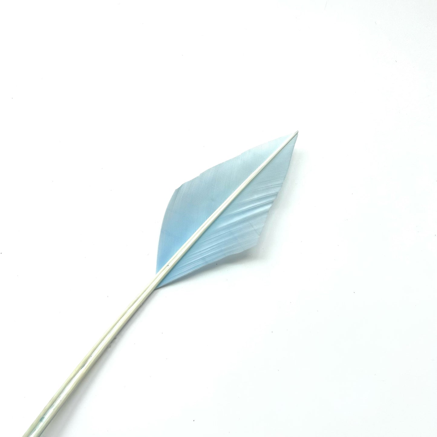 Arrowhead Turkey Quill Feather
