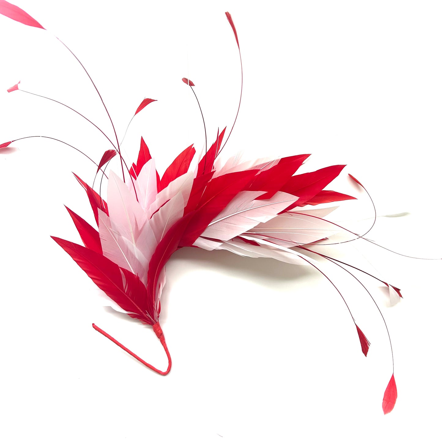 Goose and Coque Feather Mount FM304