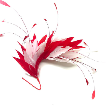 Goose and Coque Feather Mount FM304