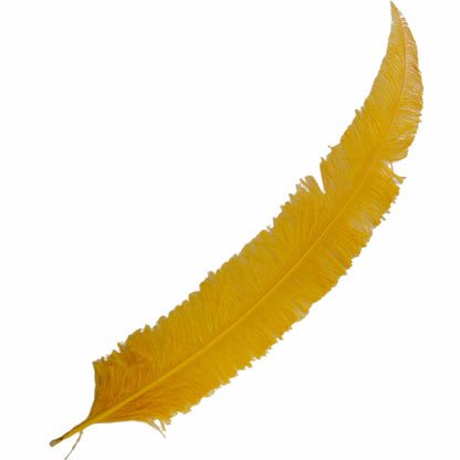 Long Clipped Ostrich Feather Plume 55-60cm