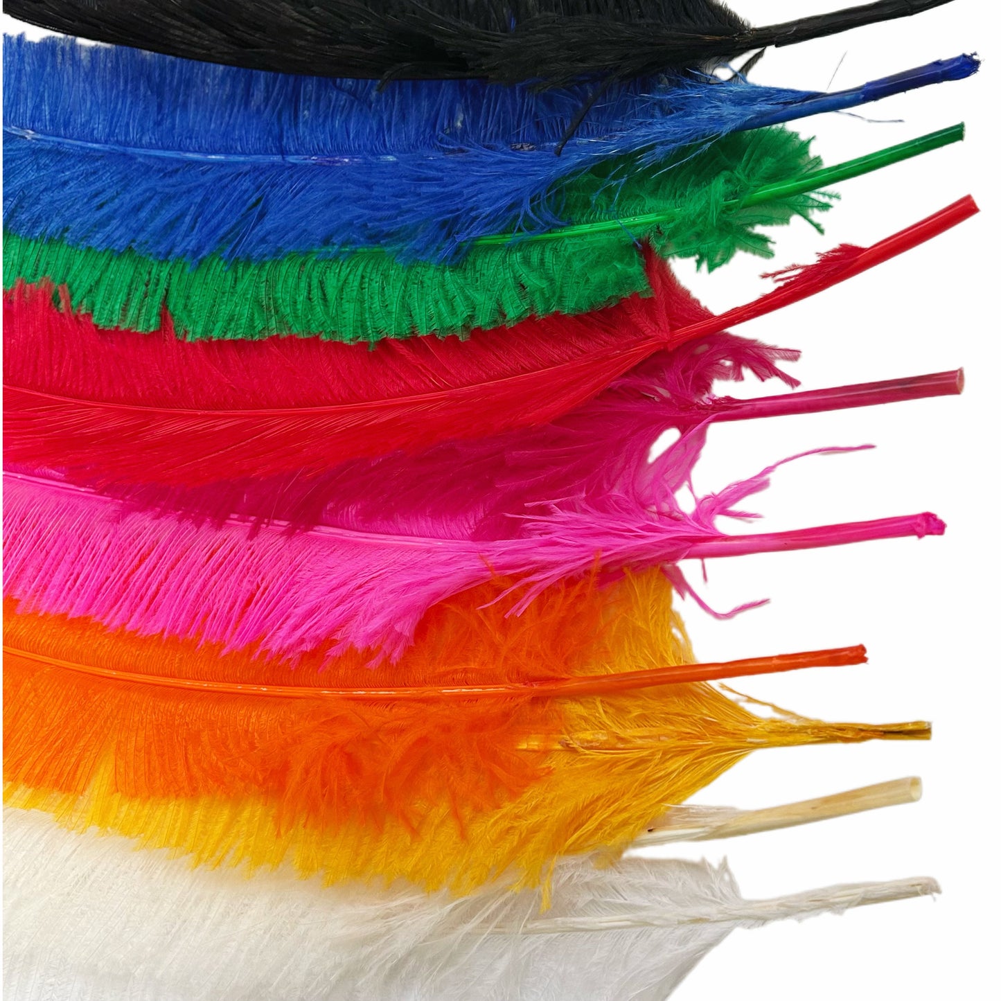 Long Clipped Ostrich Feather Plume 55-60cm