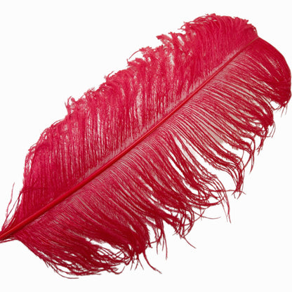 Ostrich Feather Plume 55-60cm