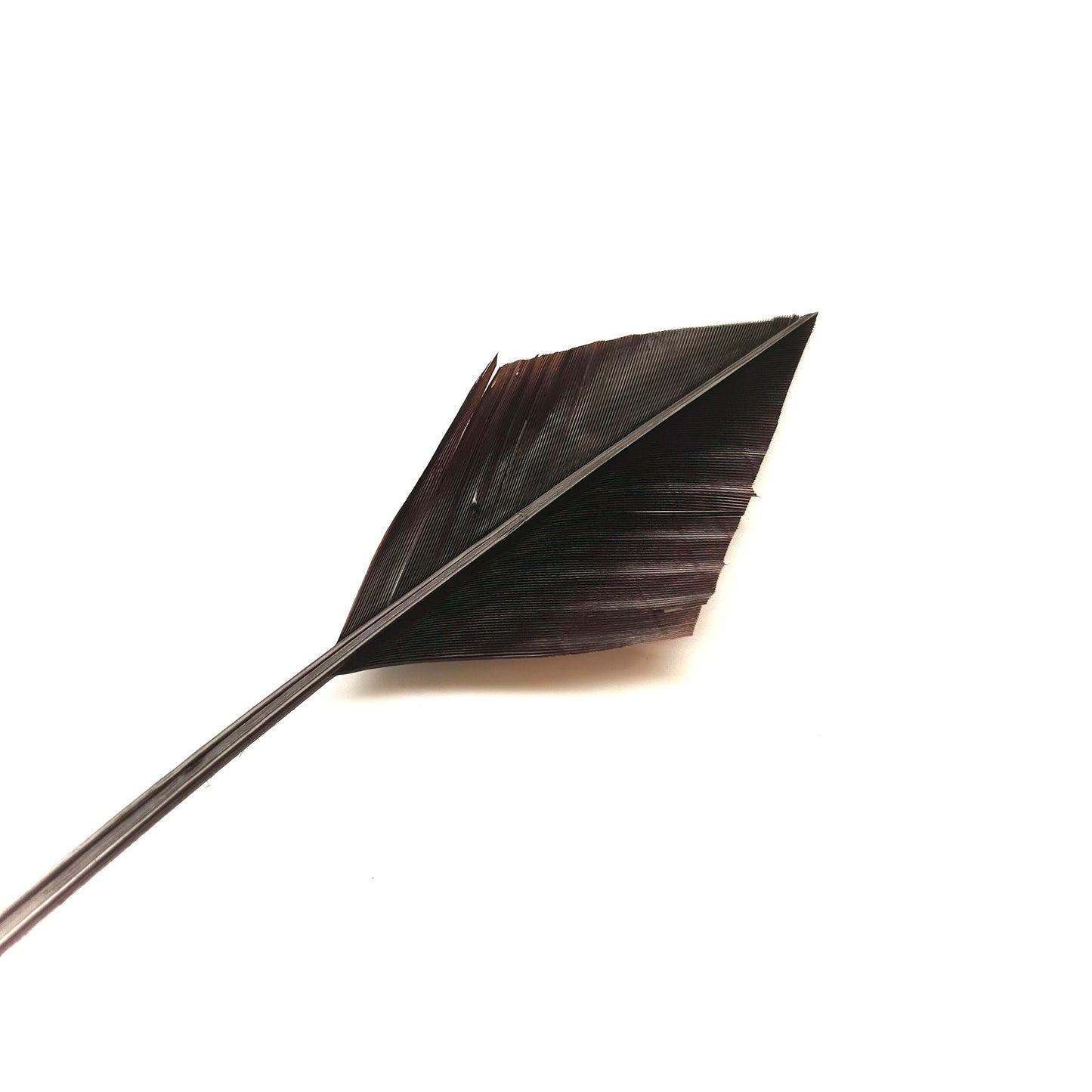 Arrowhead Turkey Quill Feather