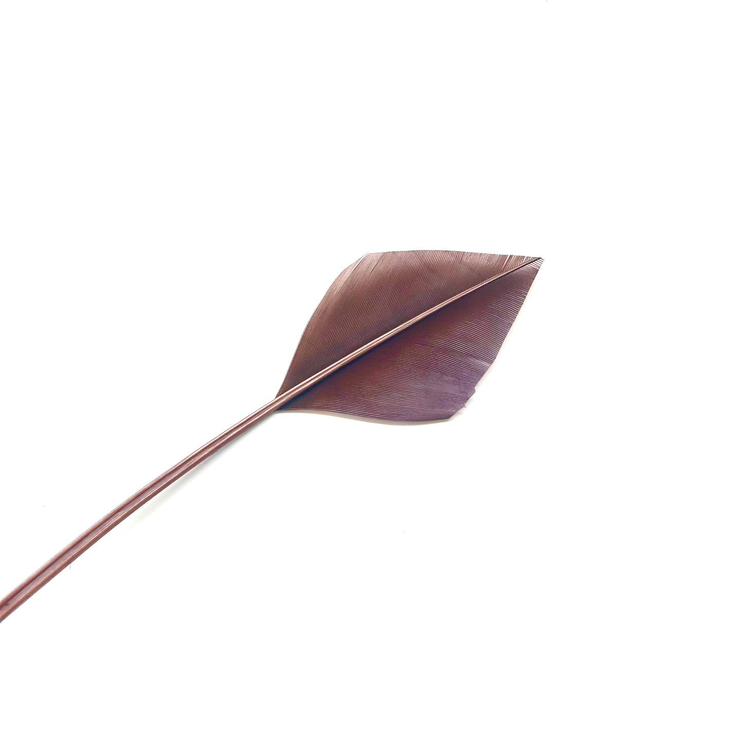 Arrowhead Turkey Quill Feather