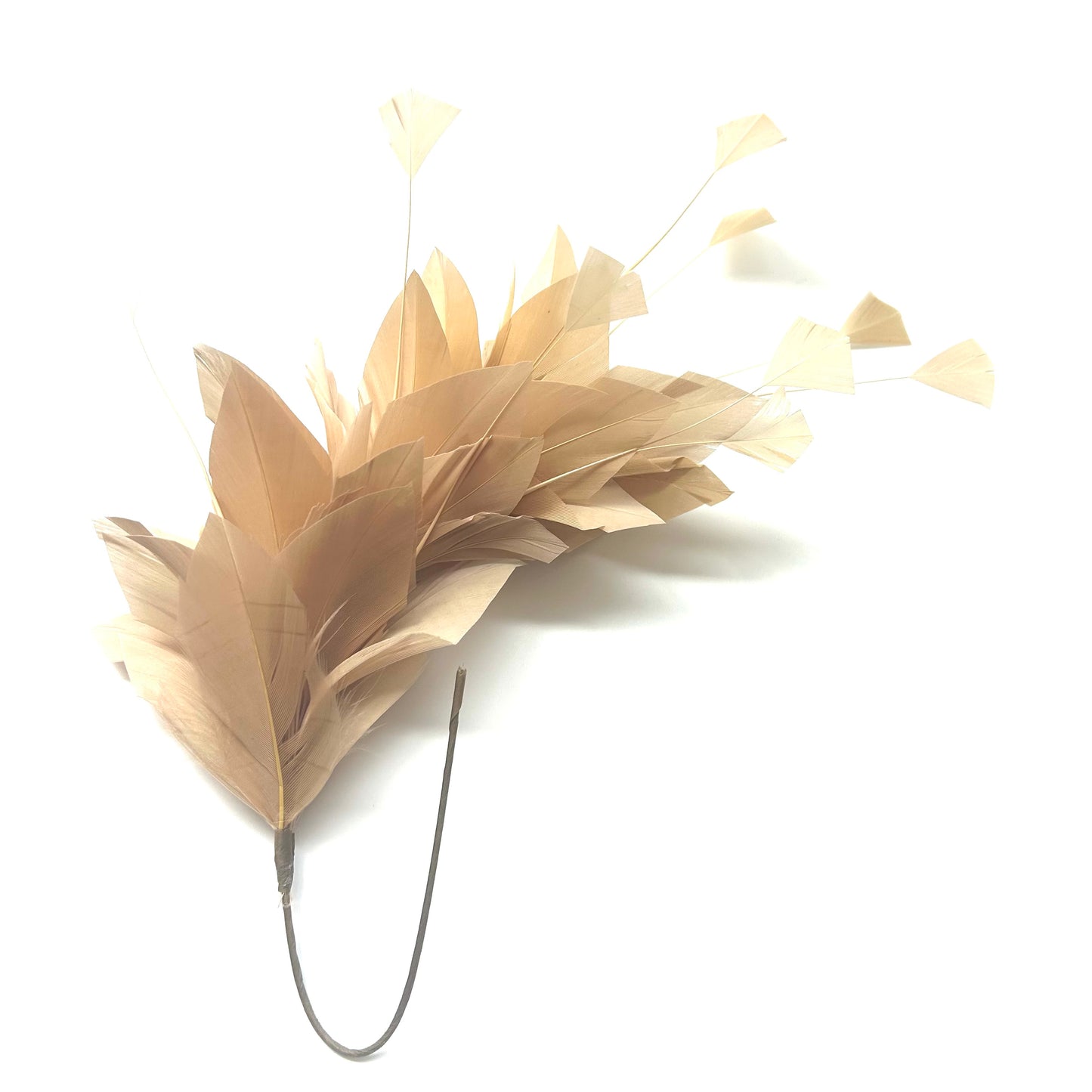 Diamond Coque & Goose Feather Flower Mount FM082