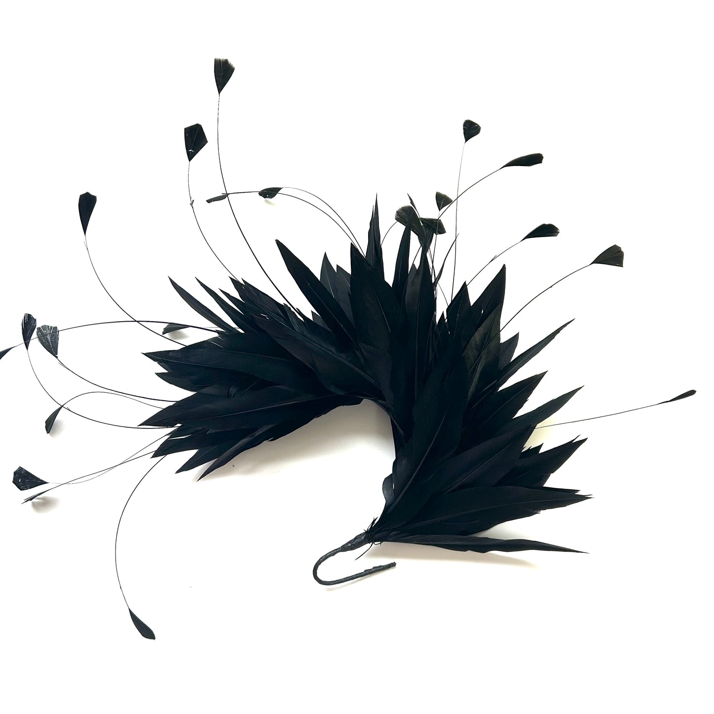 Goose and Coque Feather Mount FM304