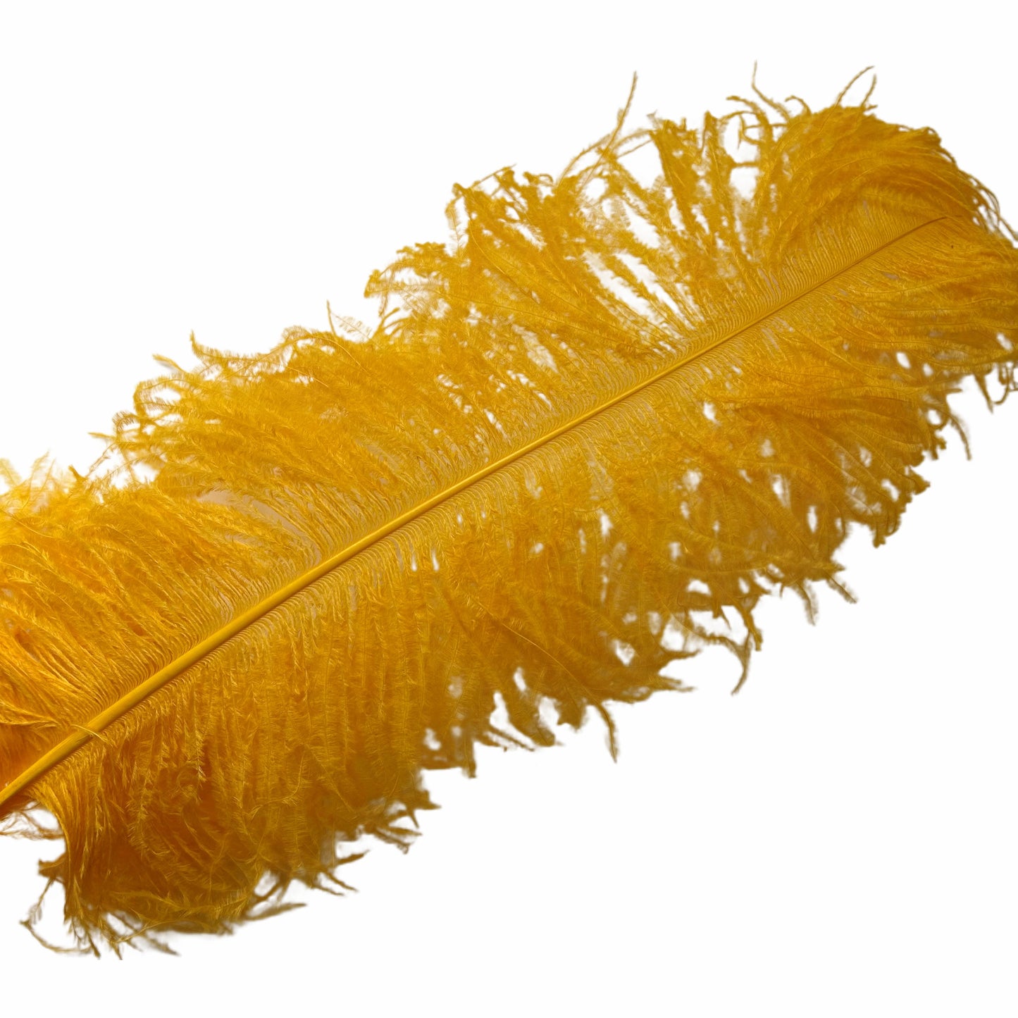 Ostrich Feather Plume 55-60cm