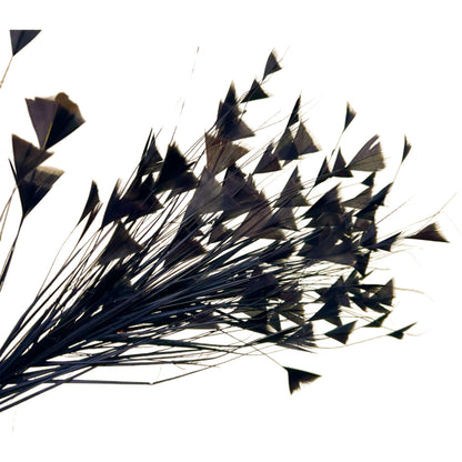 Peacock Hair Diamond Tip Mount FM001