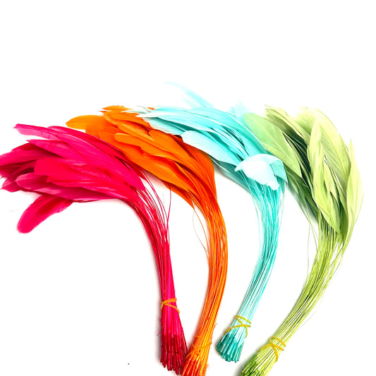 25cm Stripped Coque Feathers - Pack of 10
