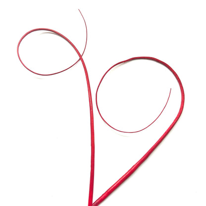 Loop Curved Ostrich Feather Quill