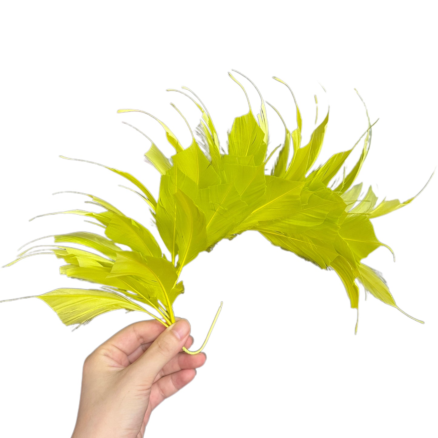 Spiky Goose Feather Wired Hat Mount