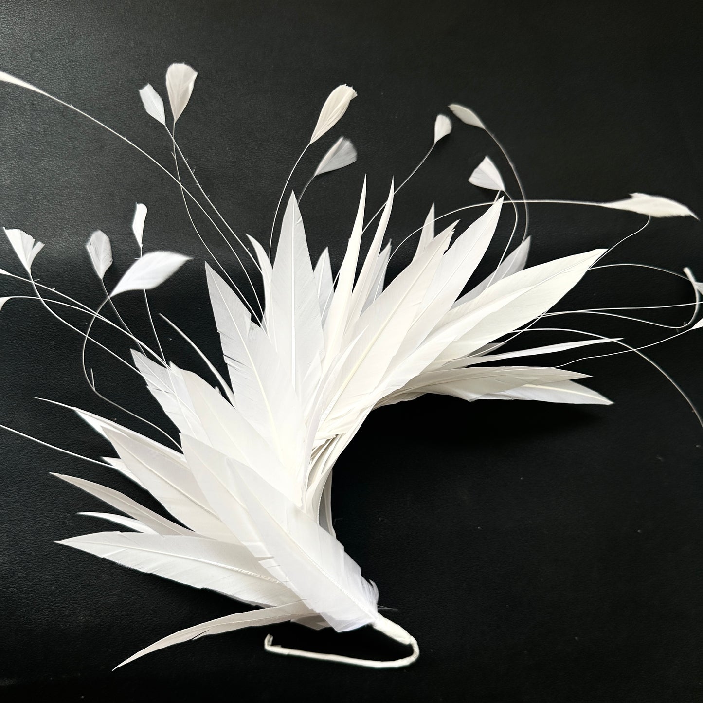 Goose and Coque Feather Mount FM304