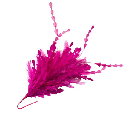 Hackle and Long Diamond Coque Feather Mount DS250620