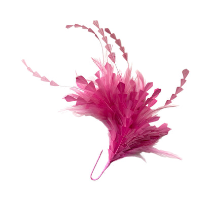 Hackle and Long Diamond Coque Feather Mount DS250620
