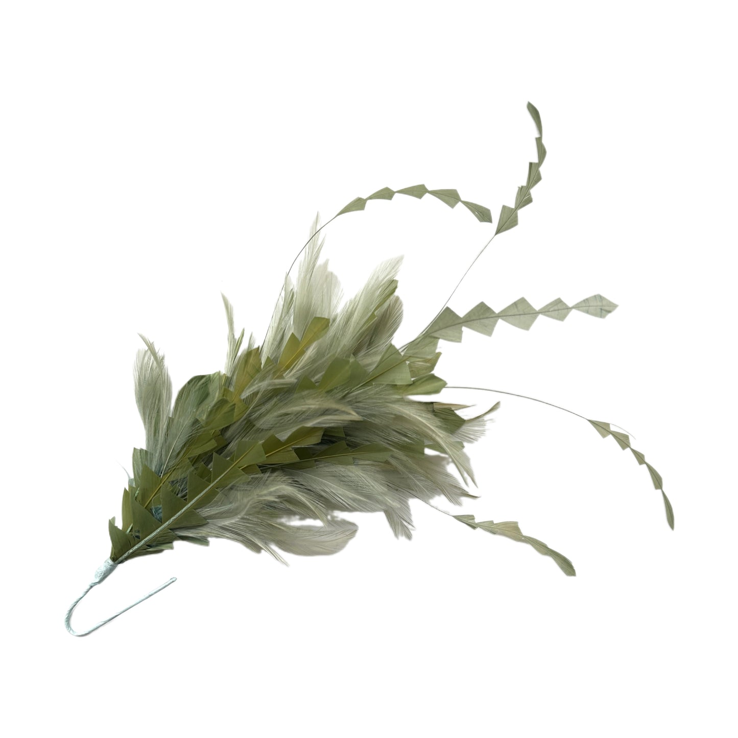 Hackle and Long Diamond Coque Feather Mount DS250620