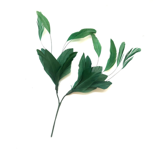 Simple Goose Feather & Coque Feather Branches Mount FM003