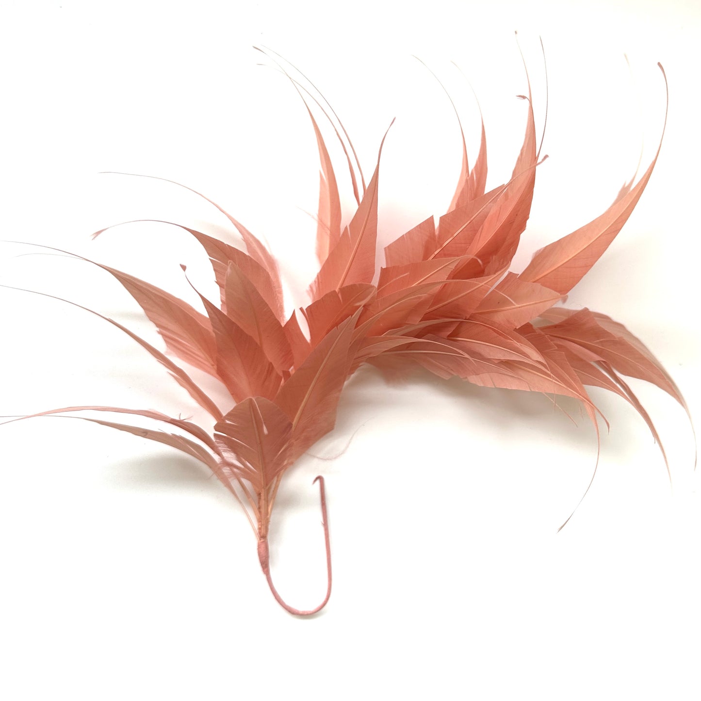 Spiky Arrow Goose Feather Wired Hat Mount
