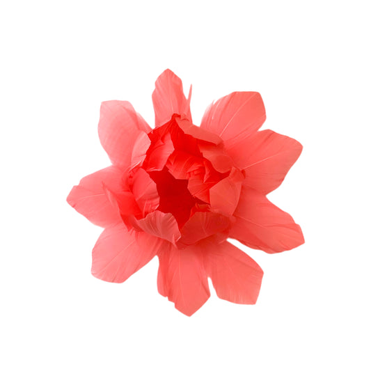 Goose feather flower bloom
