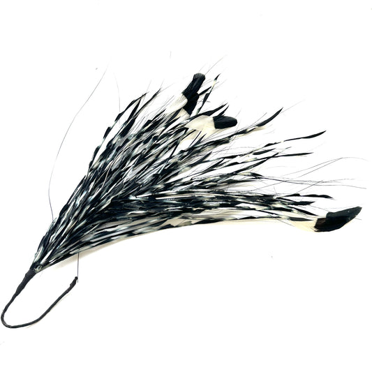 Long Gradient Goose Biot Feather Mount