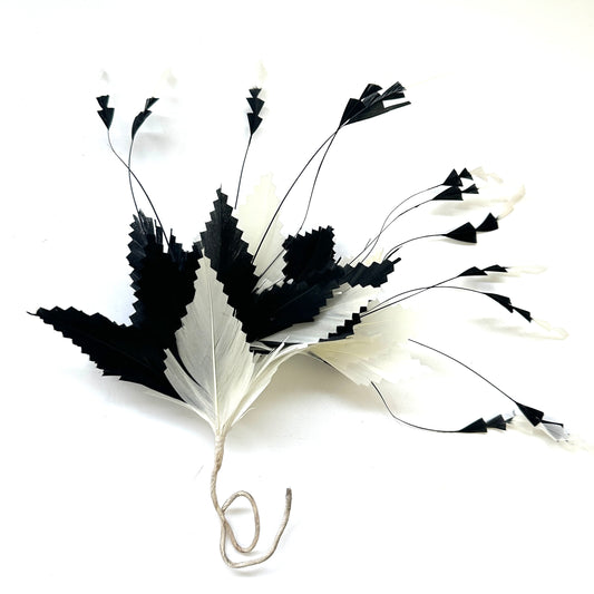 Gradient Goose & Coque Feather Mount