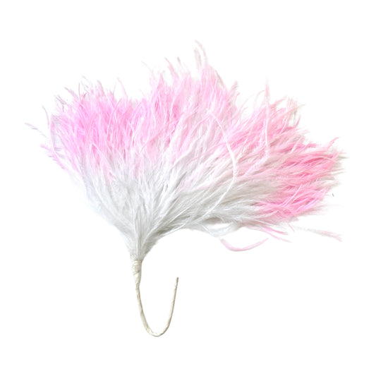Gradient Ostrich Feather Mount