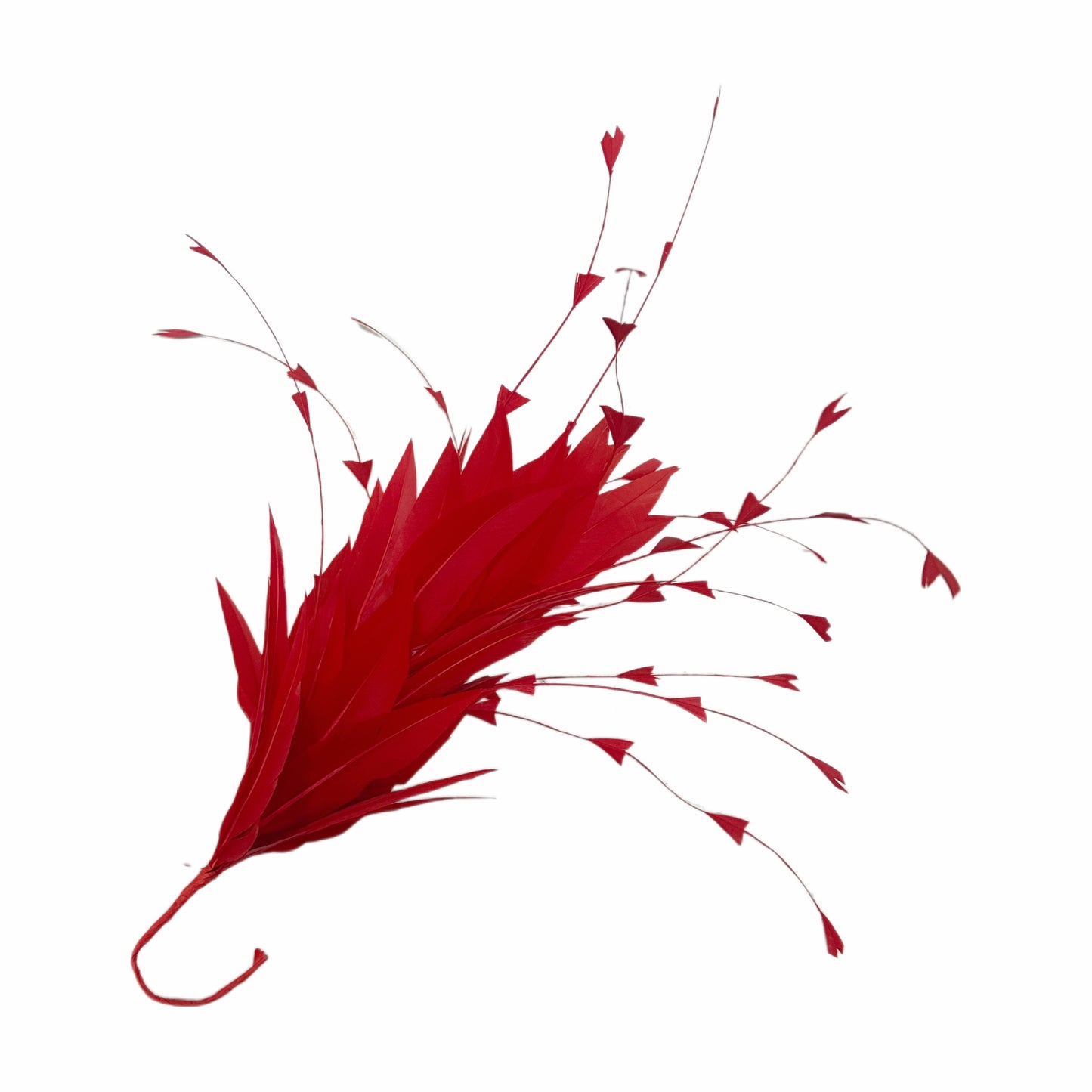Goose and Long Trimmed Coque Feather Mount FM514
