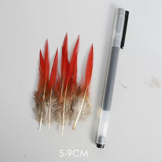 Natural Lady Amherst Pheasant Feathers Red Tip Knife SF023