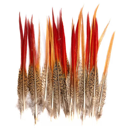 Natural Lady Amherst Pheasant Feathers Red Tip Knife SF023