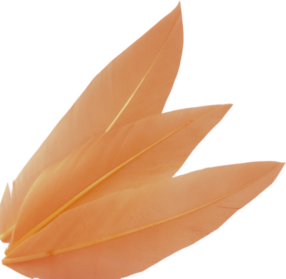 Goose and Long Trimmed Coque Feather Mount FM514