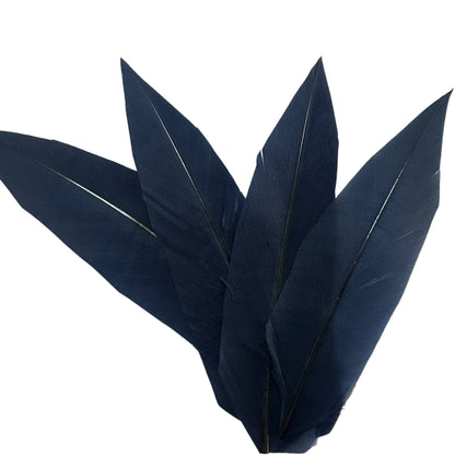 Goose and Long Trimmed Coque Feather Mount FM514